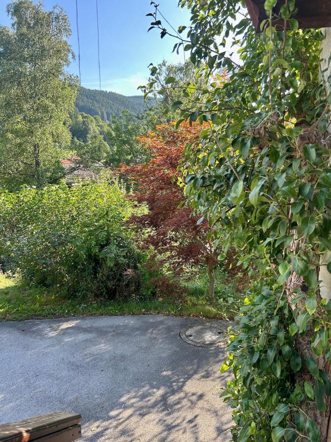 Apartment Huberspitz - Ruhe, Berge & Natur Hausham Exteriér fotografie